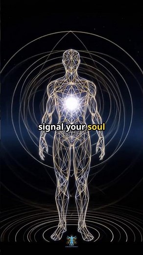 Your Aura Isn’t Energy — It’s an Echo Field