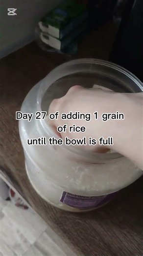 Day 27 of adding 1 grain of riceuntil the bowl is full