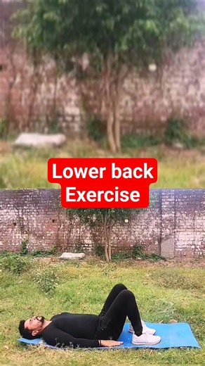 best easy lower back home exercise