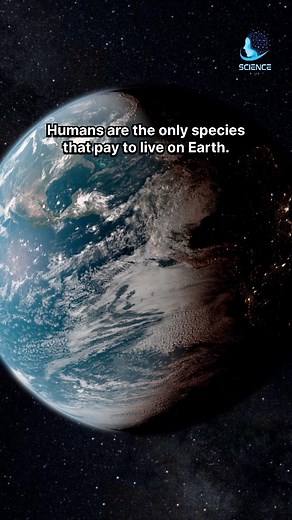 Humans #science #astronomy #humans #BIGBANG | Science Bitch