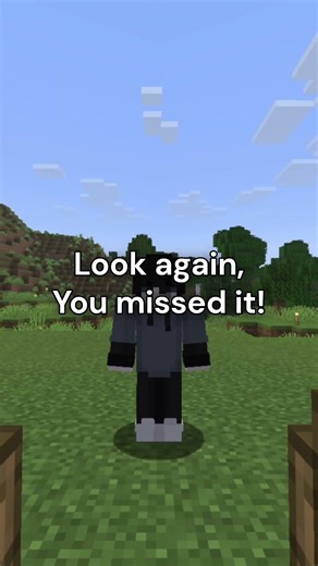 Don't Blink... This is Too Fast to Guess the Minecraft Block👀