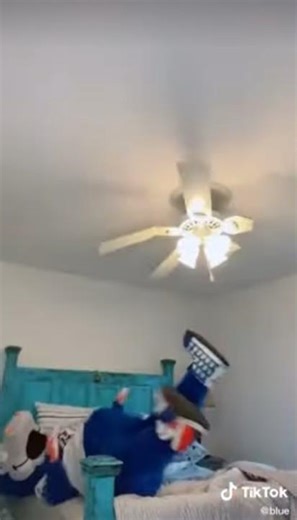Ceiling fan fail #ceilingfan #ceilingfanfails