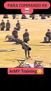 422K views · 10K reactions | #indian #army #lovers #commando #Specialforces #shorts #training #attitude #trendingreelsvideo  | Para Commando | Facebook
