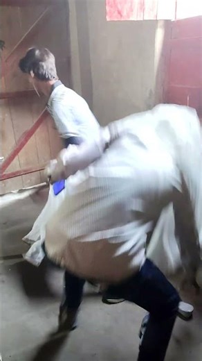 Neeli Pari Peeli Pari /shorts comedy videos 😂😂 tt7