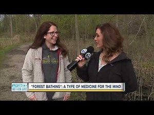 'Forest Bathing': How to commune with nature to rejuvenate your mind, body and spirit