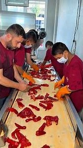 🌶️ How Is Pepper Paste Made in the Cleanest and Most Natural Way? The Journey of Pepper Turning I...