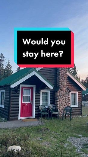 If you are planning a trip to Jasper we recommend you stay at the Pine Bungalows. Their Cabins are beautiful and located just outside of town… be prepared to see some furry surprise visitors 🦌 #jasper #alberta #canada #explore #explorealberta #cabins #fyp #adventure #travel #homeawayfromhome #travelalberta