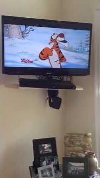 Ending to "Winnie The Pooh And Tigger too!"(1974) Letterbox version on Disney Jr.