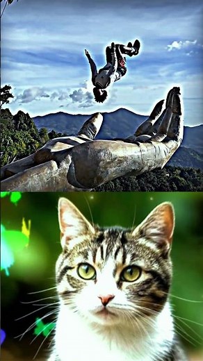 Impossible Challenge + Cat Reaction 😹 | Cat Boom #funnyvideo #catboom