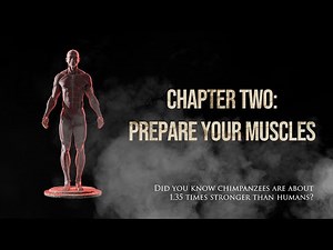 Blender's X-Muscle System Course Chapter 2 | Prepare Your Muscles