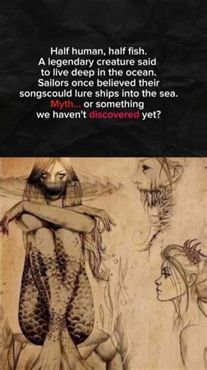 The Legend of the Mermaid – Myth or Hidden Truth?