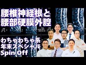 腰椎神経根と腰部硬膜外腔 わちゃわちゃ系年末スペシャル Spin Off