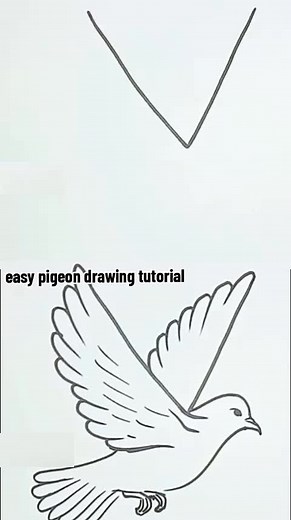 Easy Pigeon Drawing Tutorial for Beginners