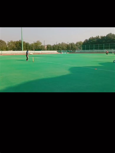 Exciting Cricket Fielding Drills for All Levels