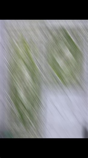 #ခြေသုတ်ခင်း set#14000mmk