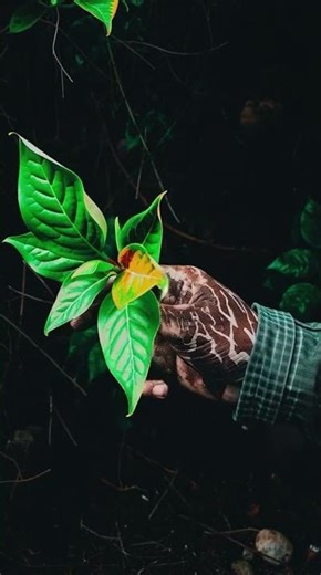 How Green Finance Builds Wealth