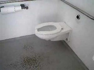 Shell Beach Toilet