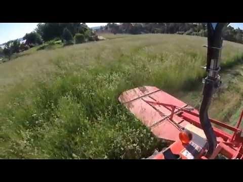 Kubota L2501HST with Tar River BDR-165 Drum Mower in Grass Hay