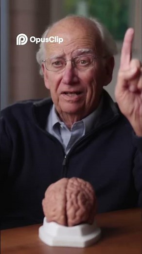 Brain Split Experiment: See Double!