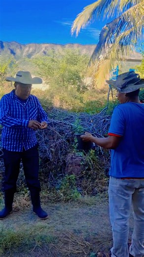 67K views · 674 reactions | Se come las monedas #job #mecanicos #fiction #movie #book #jazzmusic #heartbreak | Grupo Hijos del caos A A .” | Facebook