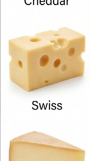 The Secret Behind Swiss Cheese Holes 🤯. Swiss Cheese Explained 🧀 | Why Does It Have Holes?