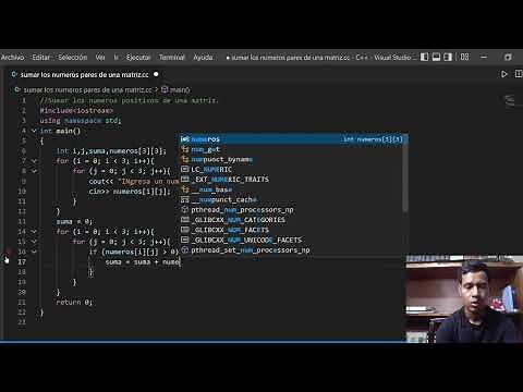 Suma los números positivos de una matriz c++