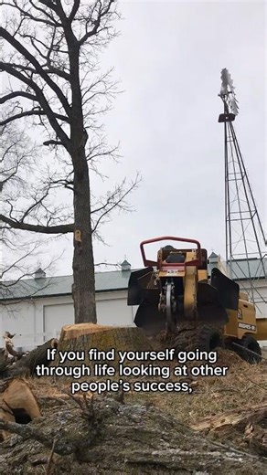 Lessons from a stump grinder #arborist #treeremoval #stumpgrinding #motivational #motivation