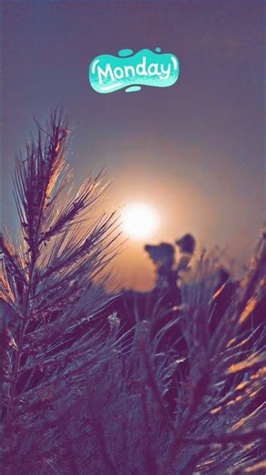 ♪ Monday Song [ Soothing Relaxation Study Sleep BGM ]