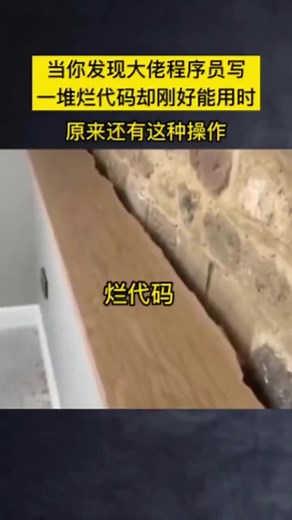盘点程序员最牛代码#程序员 #progamer #java #程序 #demands #GenshinImpact32