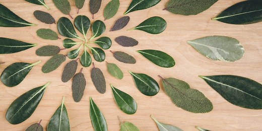 Core business: o que é + como encontrar o seu