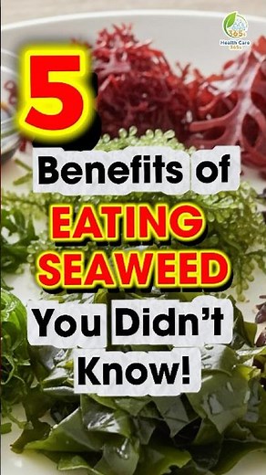 The Top 5 Benefits of Eating Seaweed You Didn’t Know!