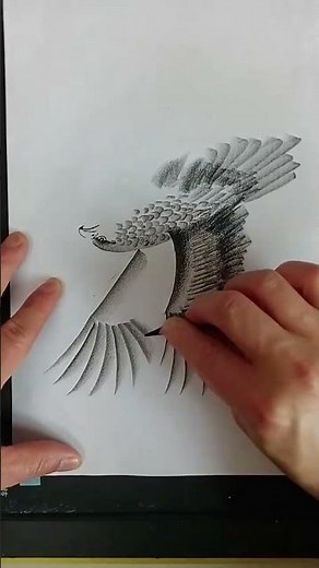 How to Draw a Bald Eagle 🦅| Bald Eagle Drawing Easy With Pencil Step by Step