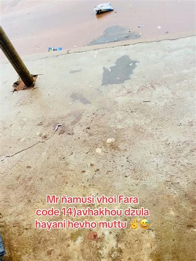 Exploring Mr. Namusi's Code 14 and its Cultural Impact