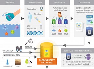 Making environmental DNA (eDNA) biodiversity records globally accessible - Environomics Future Science Platform