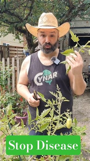 Innovative Ways to Manage Pests (Pioneer Pest Management Techniques)