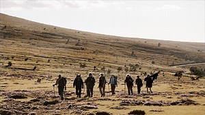 Saint-jacques... La Mecque