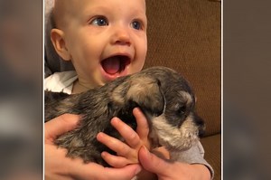 'You love the puppy!': Baby's crying immediately stopped by adorable surprise