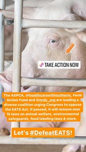 ASPCA on Reels | Facebook