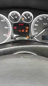 problème électrique 307