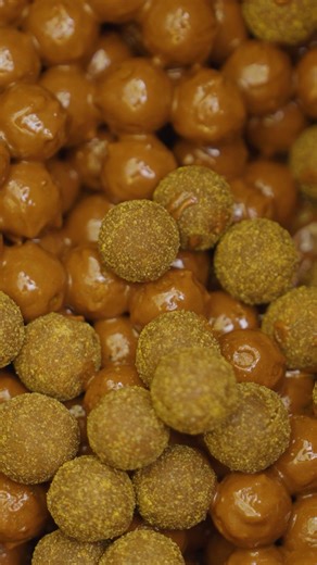 Total Carp Magazine on Reels