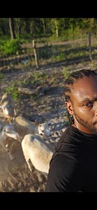 How to buy Land/Home with Bad Credit. :NACA program | 40 Acre Comeback