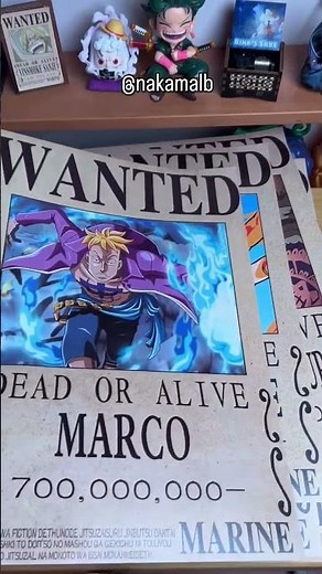The Ultimate One Piece Wanted Posters Collection Unboxing & Review!