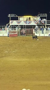 Cross Country Equine on Reels