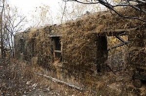 Thak man eater - Alchetron, The Free Social Encyclopedia