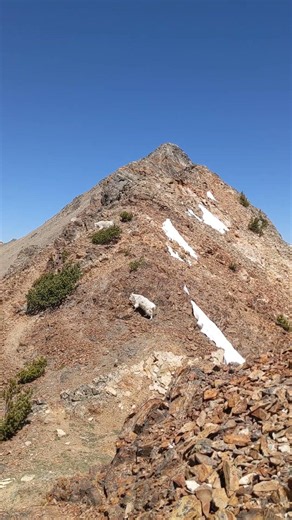 Mountain goats rock climbing Electric Peak in Yellowstone