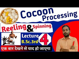 Post Cocoon Processing|B.sc 3rd Year Sericulter Post Cocoon Processing|‪@jhsirclasses‬