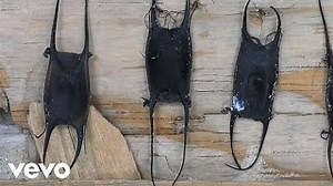 HERCULES Lyrics - GUSTER | eLyrics.net