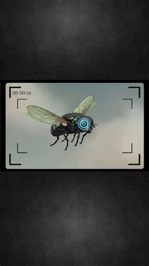 Zebra "Invisibility" Cloak! 🤯 #animalfacts #wildlife