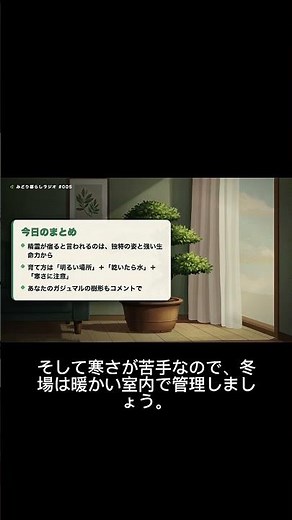 これだけ覚えて！ガジュマルの育て方まとめ🌿 #greengrowth #植物のある暮らし #観葉植物