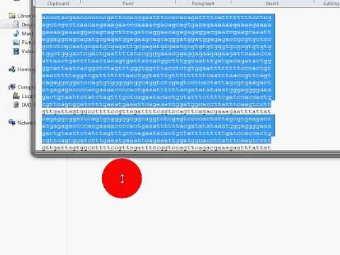 BioEdit Input Output sequence Files